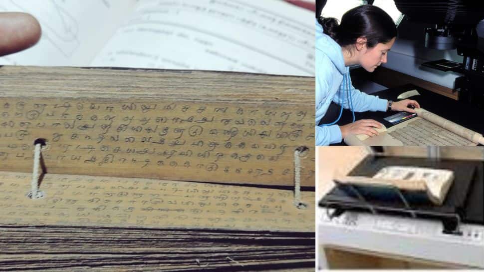 Palm Leaf Digitize: தொல்லியலை நவீனமயமாக்கும் தமிழ்நாடு! 30 லட்சம் ஓலைகள் டிஜிட்டல்மயமாக்கம்