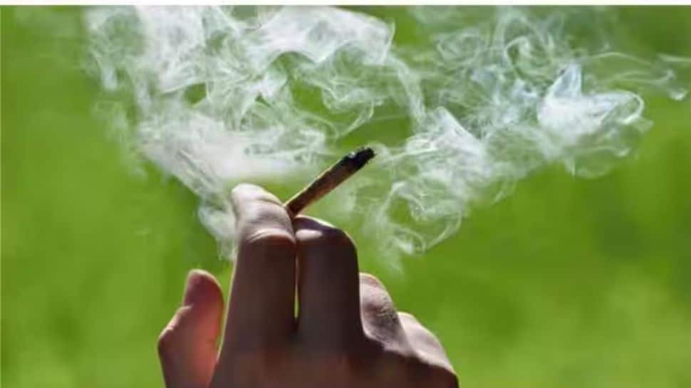 கரும்பு தின்ன கூலி! கஞ்சா சுவைக்க ₹88 லட்சம் சம்பளம்!