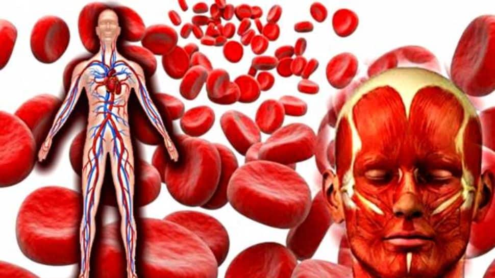Blood Purifier: ரத்தத்தை சுத்தம் செய்ய ‘இந்த’ உணவுகளை டயட்டில் சேர்க்கவும்!