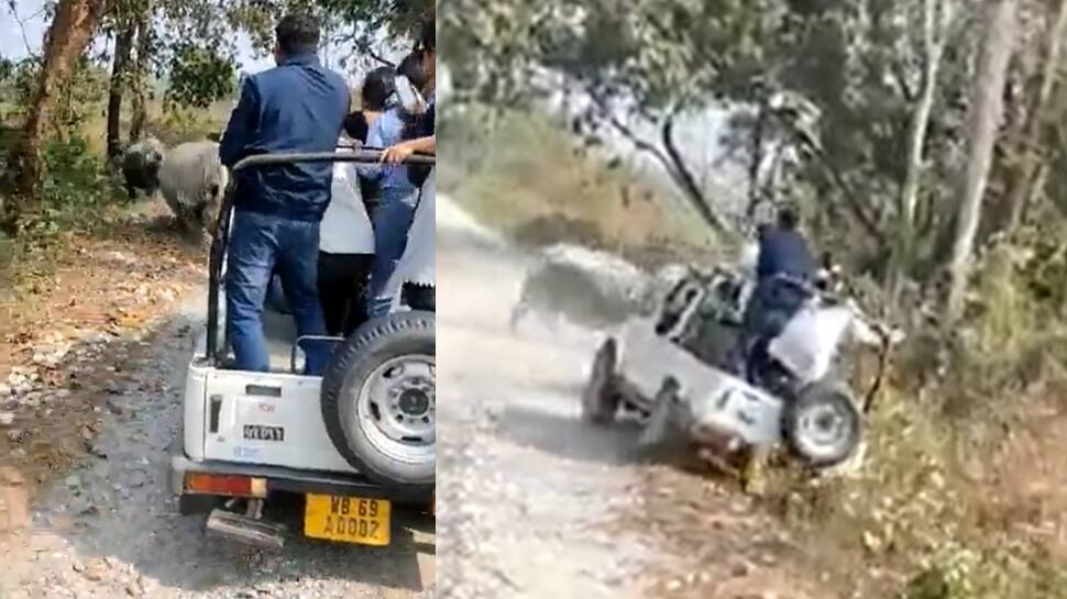 Video: காண்டான காண்டாமிருகங்கள்... சண்டையை போட்டோ எடுத்த பயணிகளை ஓடவிட்ட சம்பவம்!