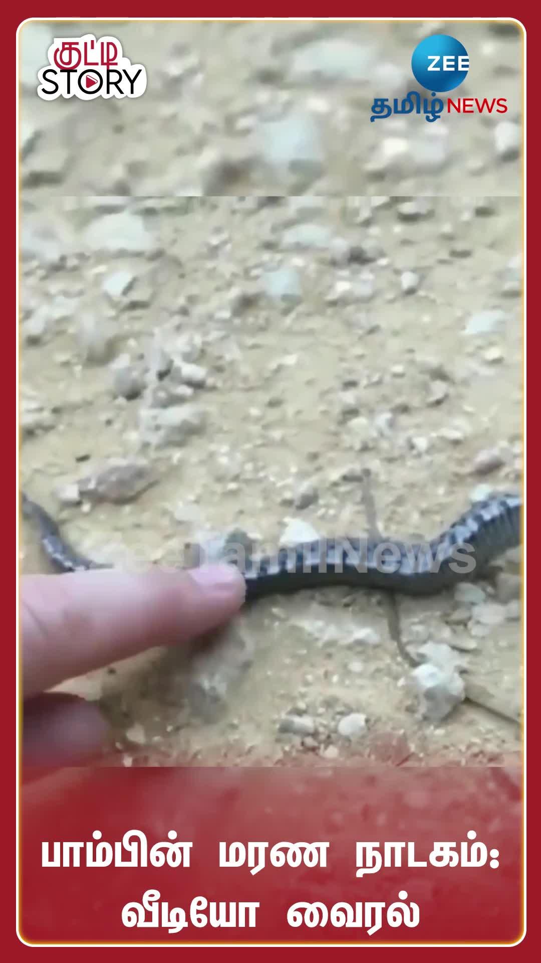 Video Thumbnail