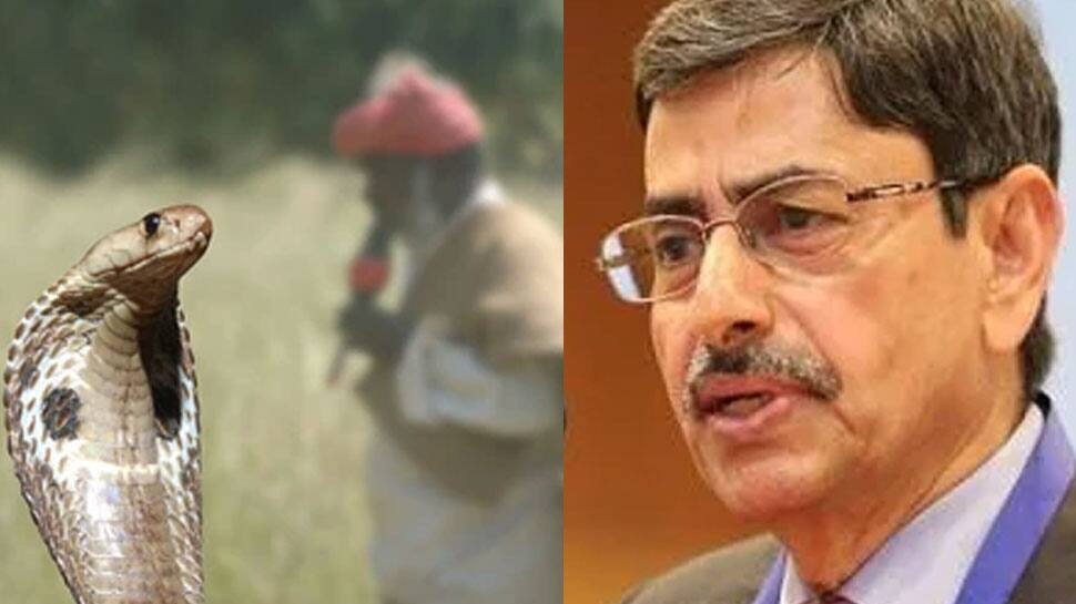 பாம்பு பிடிப்பவர்களுக்கு முக்கியத்துவம் கொடுக்கப்படுவதில்லை- தமிழக ஆளுநர் வருத்தம்