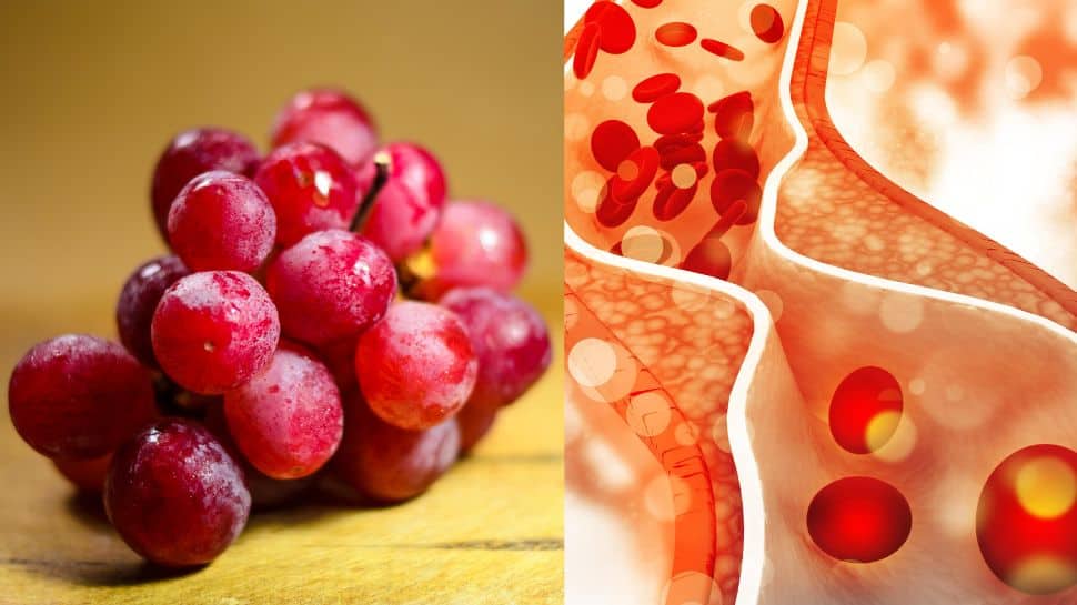 Colorful Grapes for cholesterol Control Healthy Fruits Tips Healthy