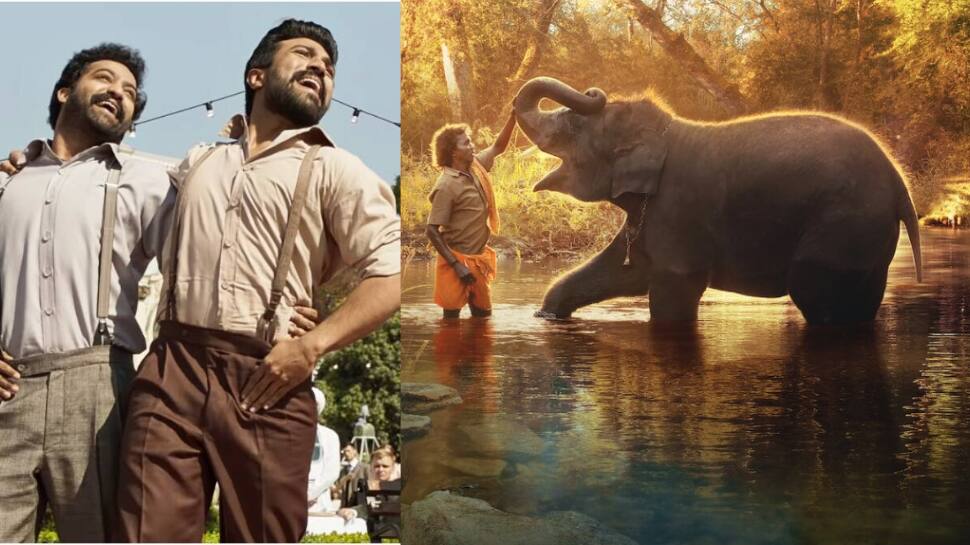 Oscars 2023: இந்தாண்டு ஆஸ்கார் விருதுக்கு பரிந்துரைக்கப்பட்ட இந்திய படங்கள் என்னென்ன?