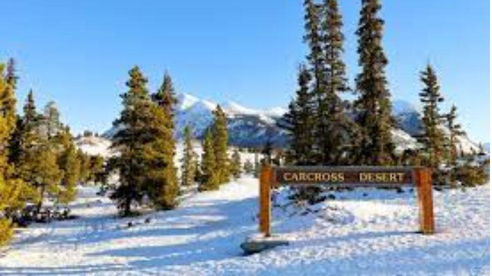 Carcross Desert: பாலைவனத்தில் ஒரு பனிபொழிவு! 