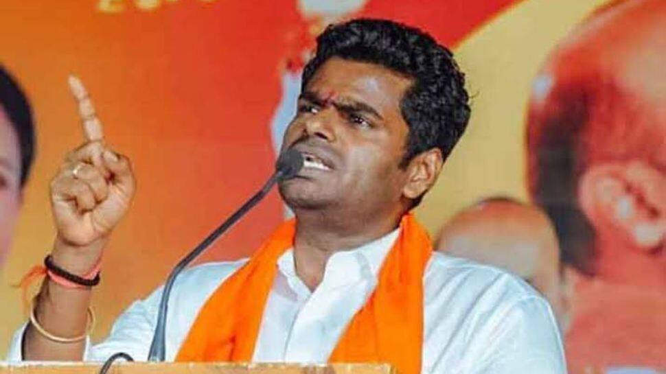 டெல்லிக்கு பறக்கும் அண்ணாமலை...வரிசை கட்டும் புகார்கள்: மேலிடத்தின் பிளான் என்ன?