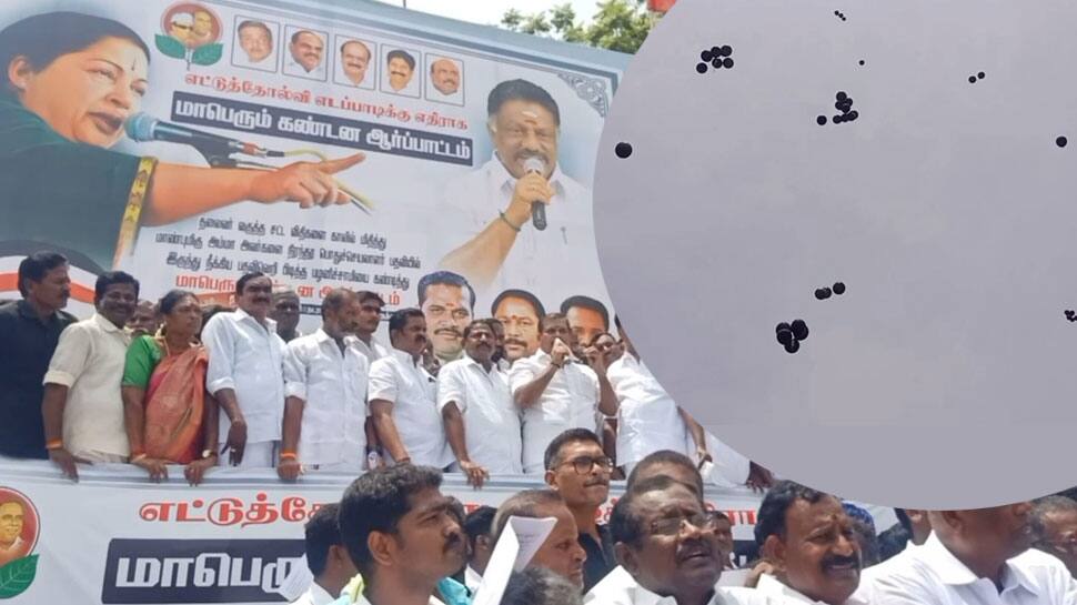 பழனிசாமிக்கு எதிராக ஓ.பி.எஸ்., ஆதரவாளர்கள் ஆர்ப்பாட்டம்; 500 பலூன்கள் பறக்கவிட்டு கோசம் !