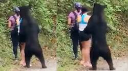 இளம்பெண்ணிடம் கரடி செய்த செயல்... நொடிக்கு நொடி பதறவைக்கும் வீடியோ!