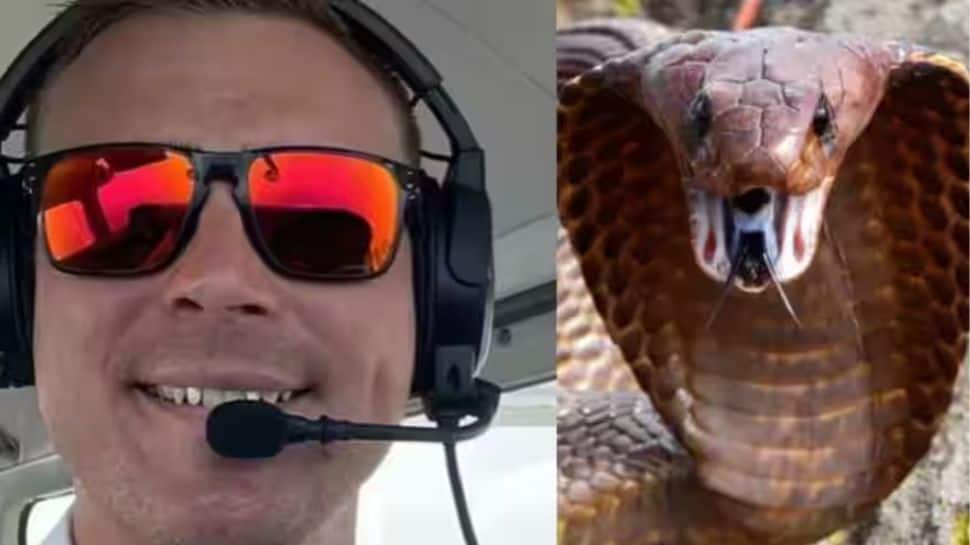 பயணச்சீட்டு இல்லைன்னா விமானத்தில் பறந்த பாம்புக்கு அபராதம் போடலாமா? வைரலாகும் நாகம்