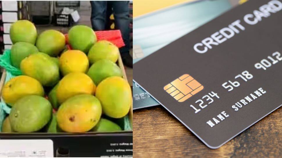 கிரெடிட் கார்டுல இதையெல்லாமா வாங்குவாங்க? EMIலயும் கிடைக்கும் அல்போன்சா மாம்பழம்