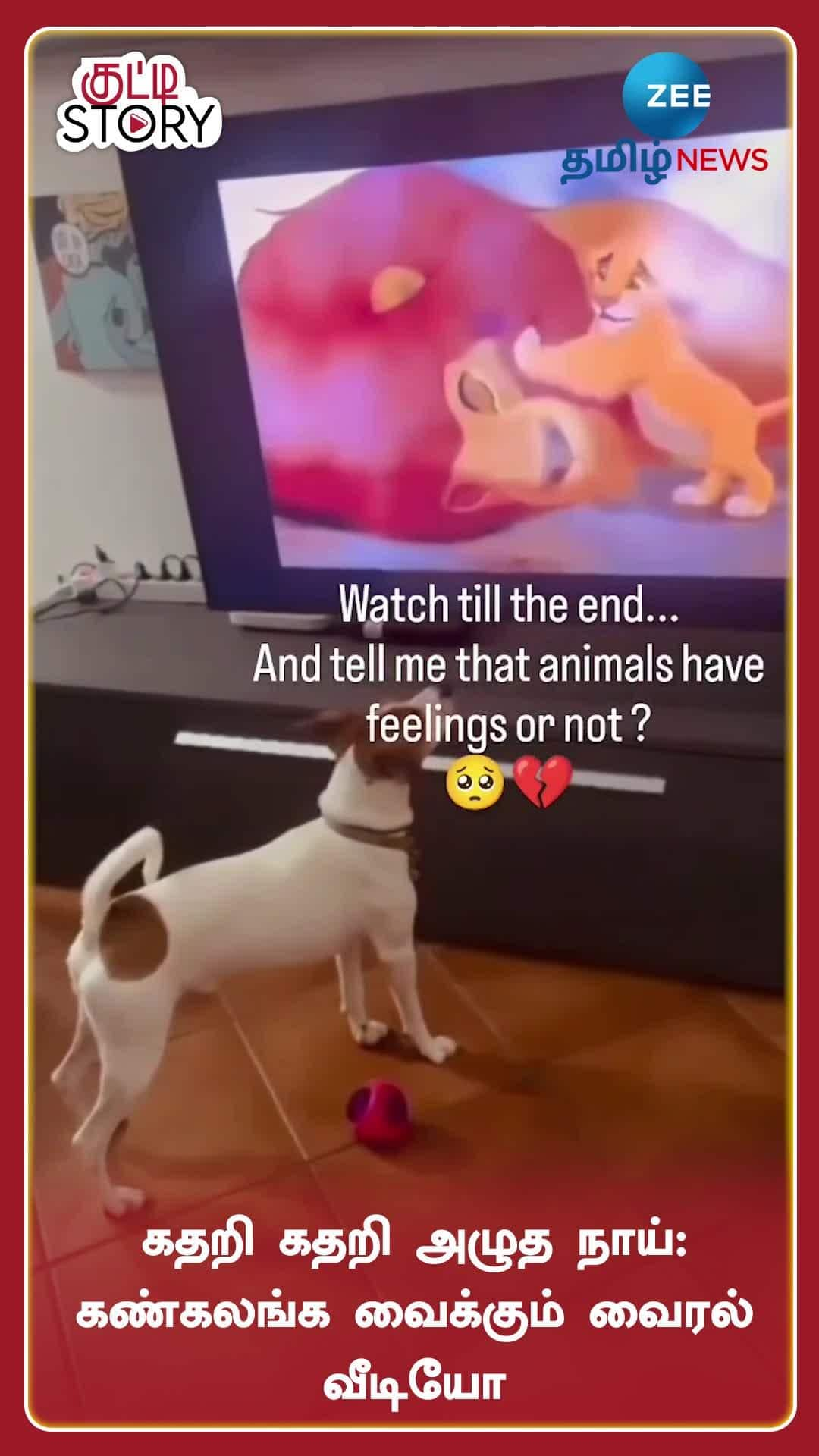 emotional-viral-video-dog-cries-seeing-tv