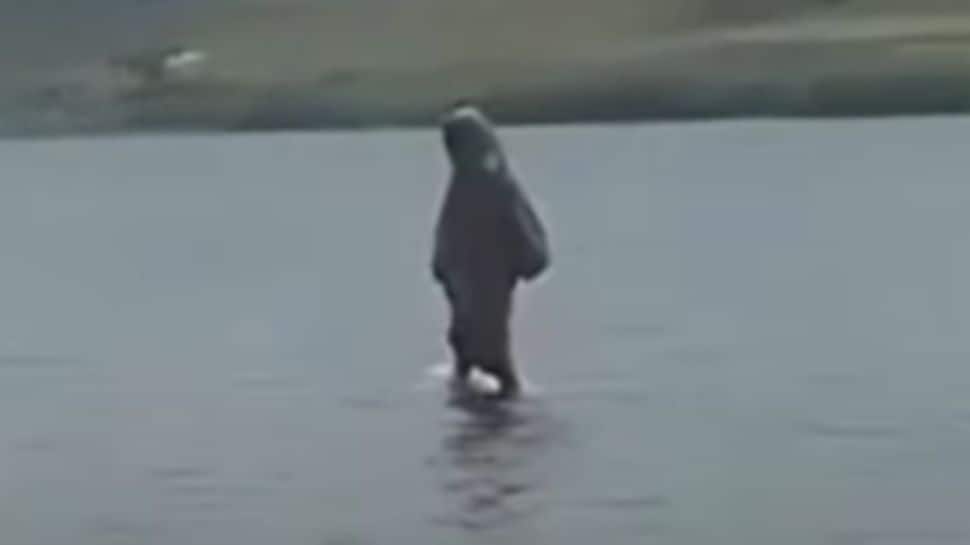 ’தண்ணீர் மீது நடக்கும் அதிசய மூதாட்டி’ வட இந்தியாவில் வைரலாகும் வீடியோ - உண்மை என்ன?