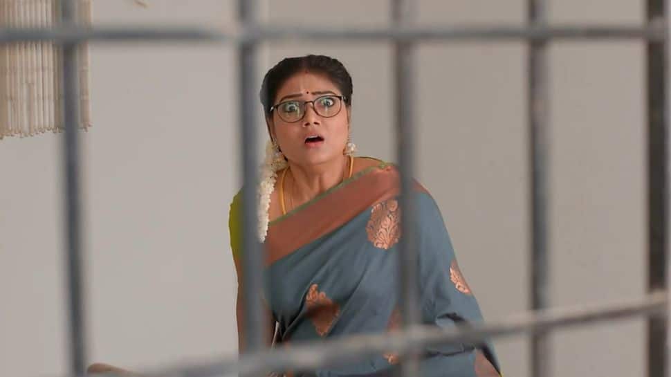 சீதா ராமன் அப்டேட்: சீதாவுக்கு செக் வைத்த மகாலட்சுமி.. சத்யன் கொடுத்த அதிர்ச்சி!!