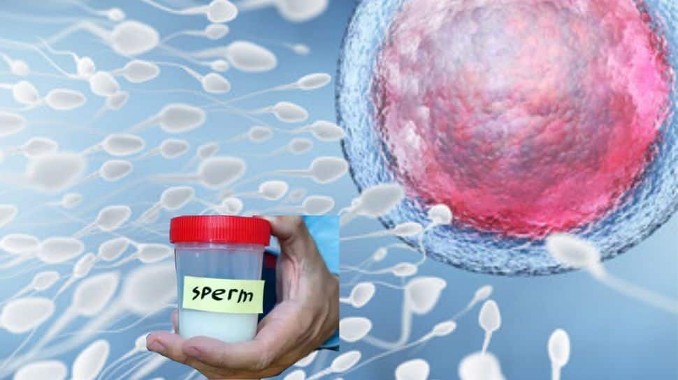 நீங்கள் விந்தணு தானம் செய்தது போதும்... இனி வேண்டாம்... உத்தரவிட்ட நீதிமன்றம்!