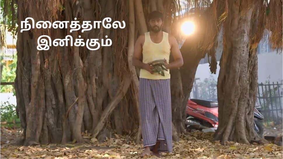 சித்ரா பவுர்ணமி நெருங்குகிறது! பொம்மிக்கு என்ன ஆகும்? நினைத்தாலே இனிக்கும் சீரியல் அப்டேட்