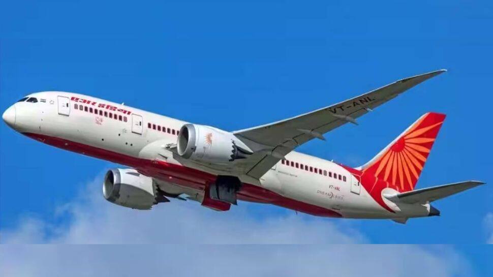  நடு வானில் கொட்டிய தேள்... ஏர் இந்தியா பயணிக்கு நேர்ந்த பயங்கர அனுபவம்!