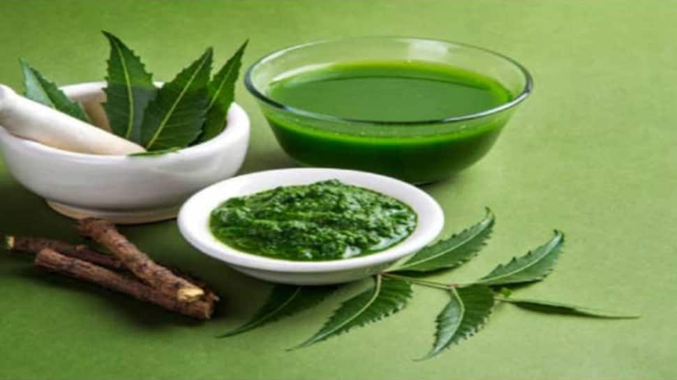 Weight Loss Consume Neem Leaves On This Way Check Full Health Benefits