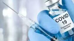 Covid Vaccine: அமெரிக்கா செல்வதற்கு இனி கோவிட் தடுப்பூசி சான்றிதழ் தேவையில்லை