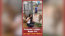 பெண்ணின் டி-ஷர்டை இழுத்த கரடி: ஷாக் தரும் வைரல் வீடியோ