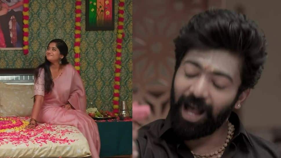 மீனாட்சி பொண்ணுங்க அப்டேட்:முதலிரவுக்காக காத்திருந்த சக்திக்கு வெற்றி வைத்த ட்விஸ்ட்