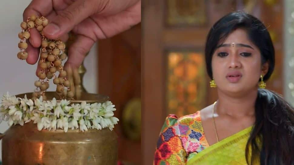 மீனாட்சி பொண்ணுங்க அப்டேட்: வெற்றியின் மாலையை கழட்ட சக்தி போட்ட திட்டம் பலித்ததா?