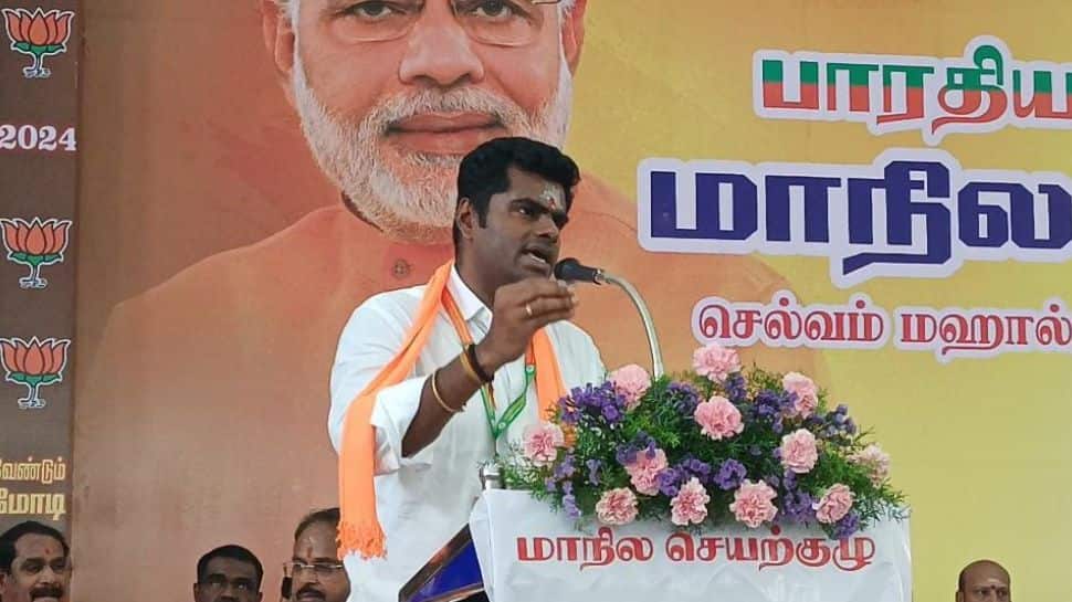 கள்ளச்சாராயத்தை கட்டுப்படுத்த வலியுறுத்தி பா.ஜ.க கட்சியினர் நாளை போராட்டம்-அண்ணாமலை