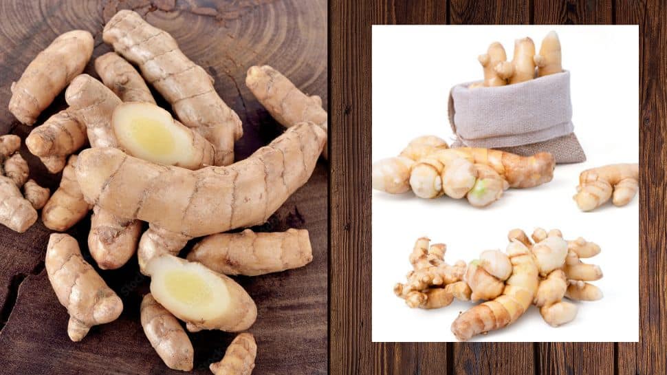 Amazing Medicinal Properties of White Turmeric White Turmeric