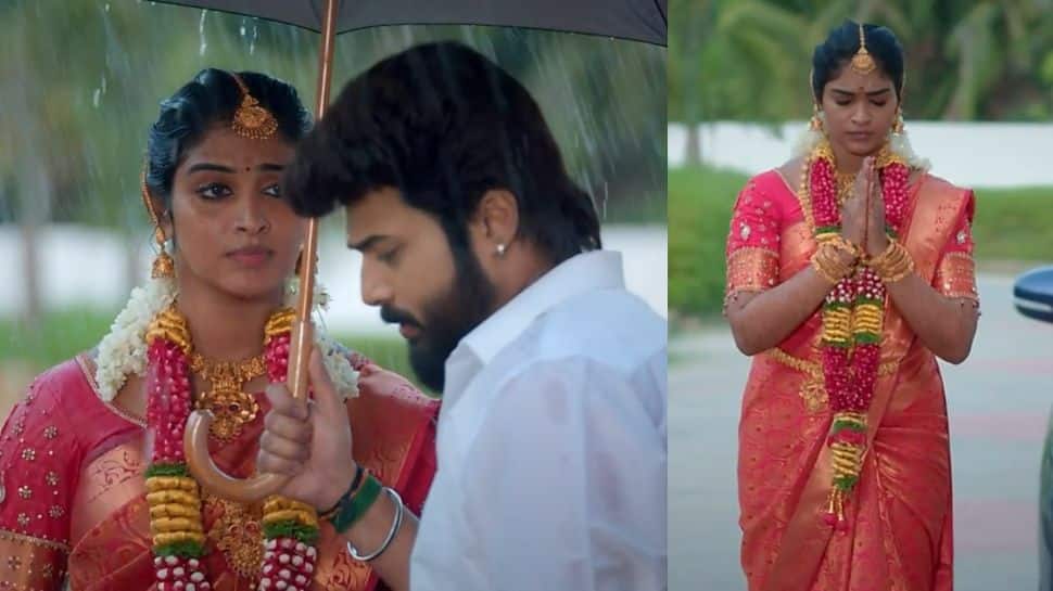 உன் ராசி ரொம்ப நல்ல ராசி, நீ வந்த நேரம்...! கார்த்திகை தீபம் தீபாவிற்கு வரவேற்பு