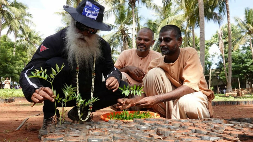 காவேரி கூக்குரல் இயக்கத்தின் இந்த வருடத்திற்கான இலக்கு 1.1 கோடி மரங்கள்!! காவேரி கூக்குரல் இயக்கத்தின் இந்த வருடத்திற்கான இலக்கு 1.1 கோடி மரங்கள்!!