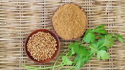 இந்த விதைகள் அதிக கொலஸ்ட்ரால் மற்றும் நீரிழிவு நோய்க்கு எதிரி...! எளிதான நிவாரணம்