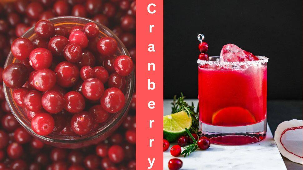 Support Heart Health And Protect Against Gastric Ulcer And Stomach