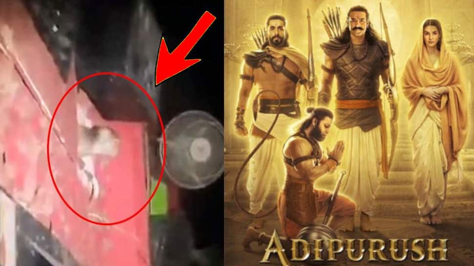 ’ஆதிபுருஷ்’ படத்தை பார்க்க திரையரங்கிற்குள் வந்த குரங்கு: வீடியோ வைரல்