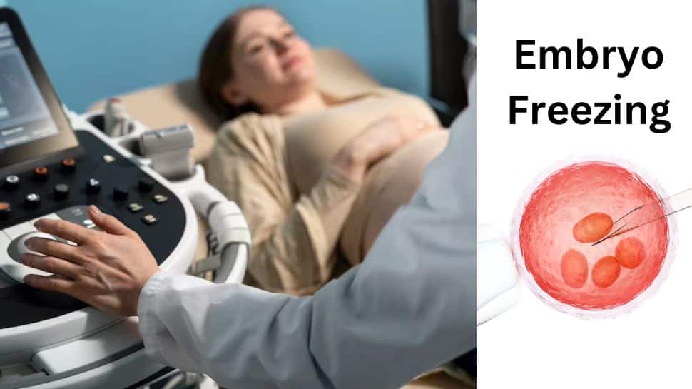 Fastest Growing Fertility Treatments Egg And Embryo Freezing Increased