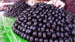 நாவல் பழ விதைகளை தூக்கி எறிவதற்கு முன்பு அதன் மருத்துவ மகத்துவங்களை தெரிந்து கொள்ளுங்கள்
