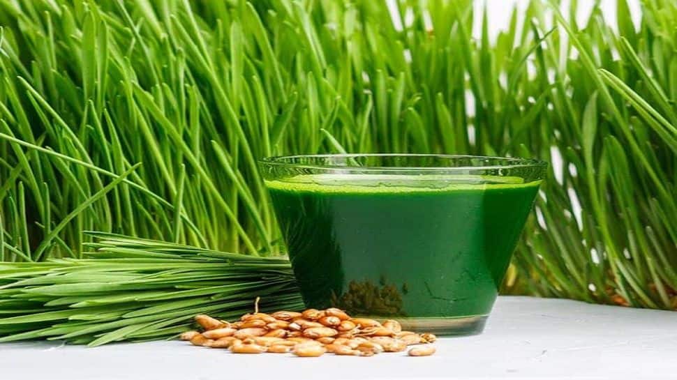 Wheatgrass Juice Benefits சிக்கென்ற உடலை கொடுக்கும் கோதுமை புல் ஜூஸ்