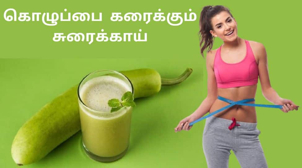 Bottle Gourd & Weight Loss உடல் பருமன் சட்டென்று குறைய வேண்டுமா