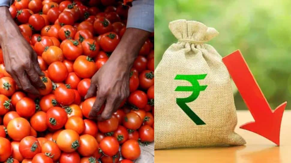 Tomato Price Reduced In Chennai Tamilnadu Today Koyambedu Tomato Price
