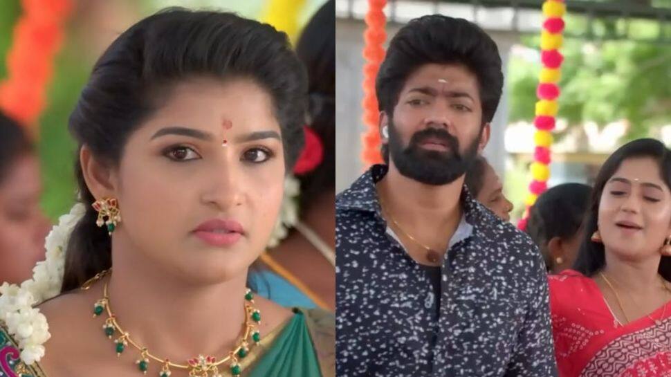 பூஜாவுடன் மணமேடை ஏறிய வெற்றி.‌. புஷ்பாவின் திட்டம் பலிக்குமா? மீனாட்சி பொண்ணுங்க அப்டேட் 