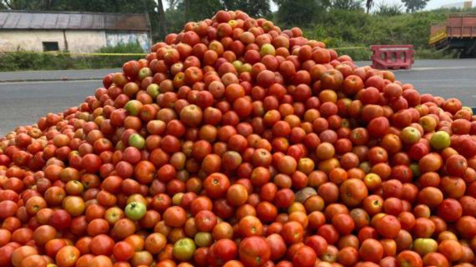 தக்காளி விலை ஏறியதா இறங்கியதா..? ஒரு கிலோ எவ்வளவு..? இன்றைய நிலவரம் இதுதான்..! 