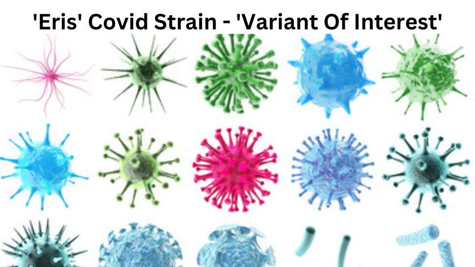 கொரோனாவின் கொள்ளுப்பேரன் எரிஸ்! அதிக கவனம் அவசியம்... WHO எச்சரிக்கை