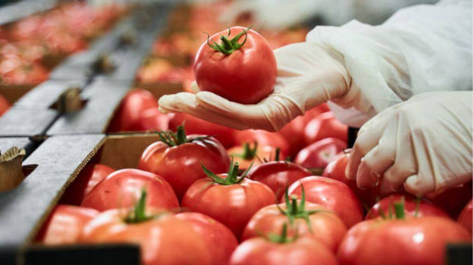 தக்காளி விலையில் இவ்வளவு பெரிய மாற்றமா..? கொண்டாட்ட கடலில் மக்கள்..!