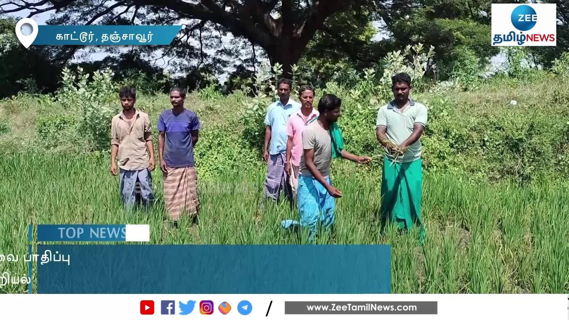 Farmers Protest in Village near Tanjore | தண்ணீரில்லை.... விவசாயிகள் ...