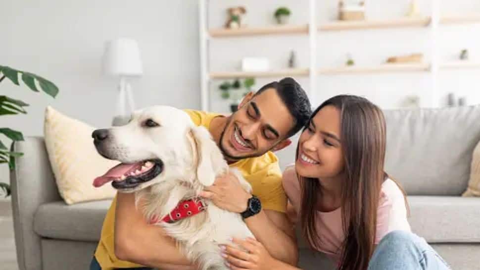 International Dog Day 2023 History Significance Pet Dog Benefits In