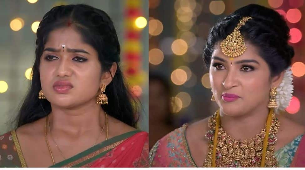 சக்தியுடன் சேர்ந்து வெறுப்பேற்றும் வெற்றி.. கடுப்பில் பூஜா: மீனாட்சி பொண்ணுங்க இன்றைய எபிசோட் அப்டேட்