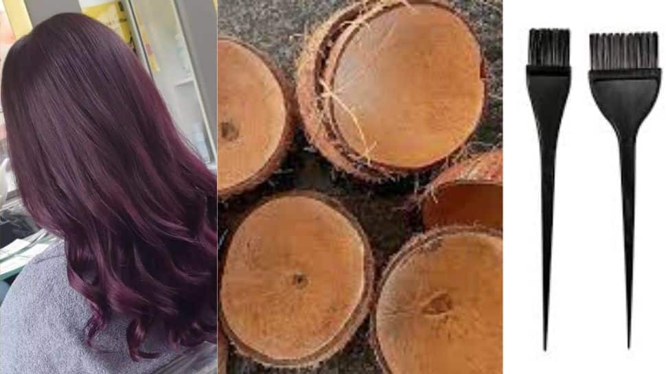 Charcoal Hair Dye Made By Coconut Skull No Chemical To Harm Health And