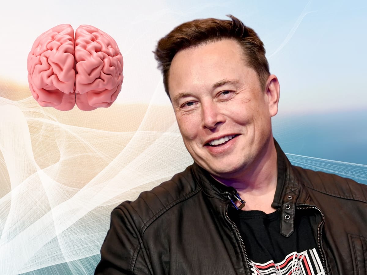 மனித மூளைக்குள் மைக்ரோசிப்... எலான் மஸ்கின் நியூராலிங்க் ஆராய்ச்சிக்கு அனுமதி!