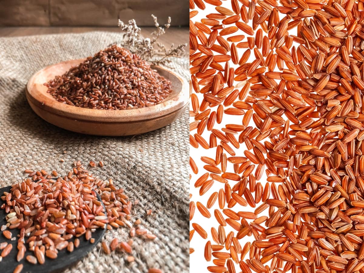 Discover the Health Benefits of Brown Rice | நீரிழிவு முதல் வலுவான ...