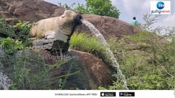 நந்தியின் வாயில் தண்ணீர் ஊற்று காட்சியால் பக்தர்கள் மெய்சிலிர்ப்பு