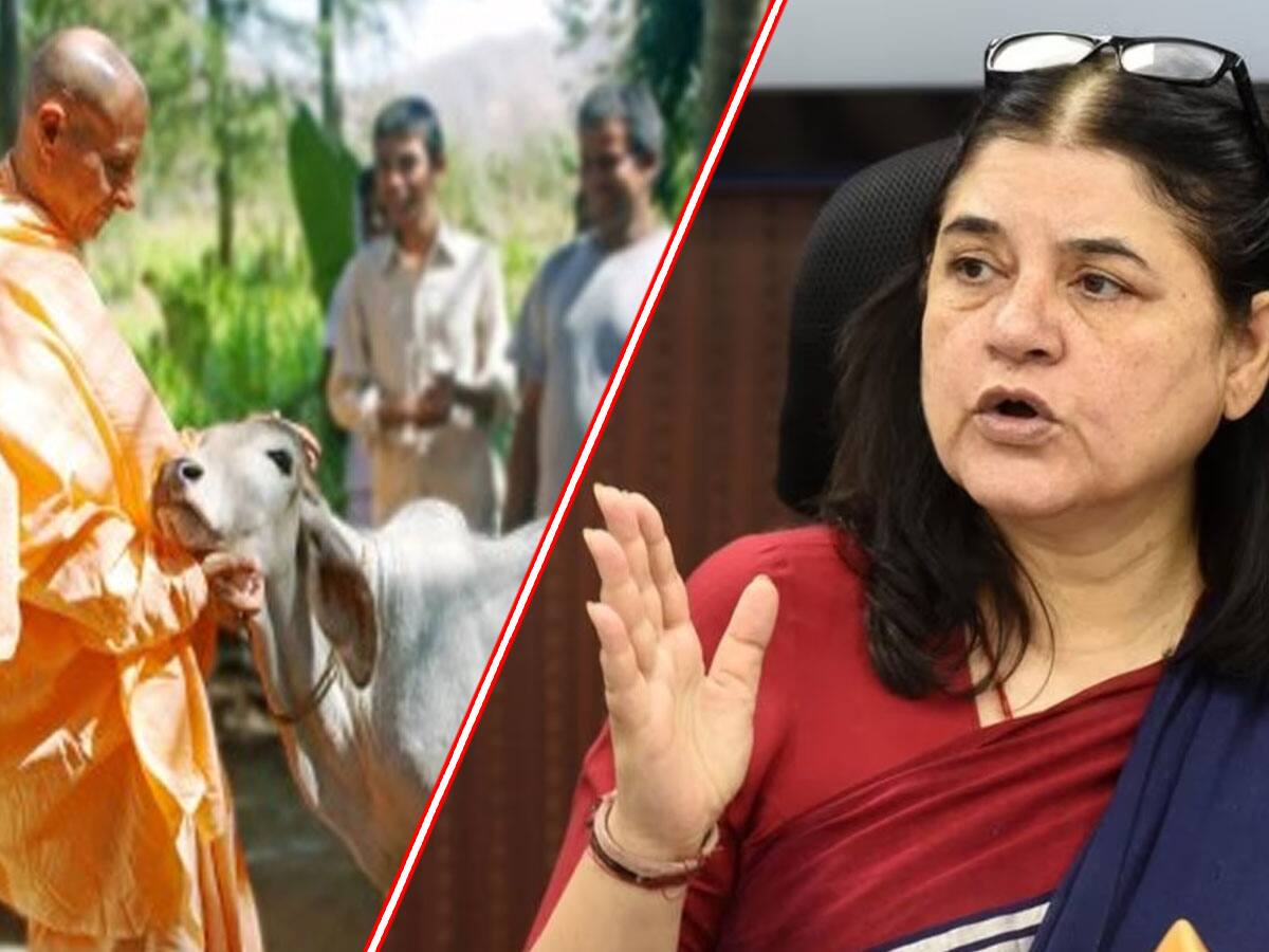 பாஜக எம்பி மேனகா காந்திக்கு 100 கோடி ரூபாய் அவதூறு நோட்டீஸ் அனுப்பிய இஸ்கான்