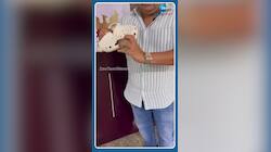 நூலிழையில் உயிர்தப்பிய வெங்கடேஷ் பட் மகள்!